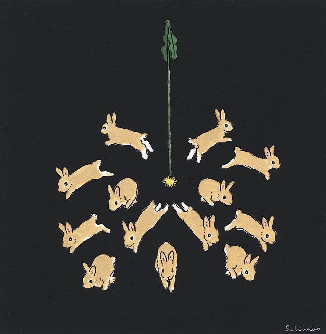 森山標子(しなこ)/Schinakoのインスタグラム：「firework🐇 花火🎆」