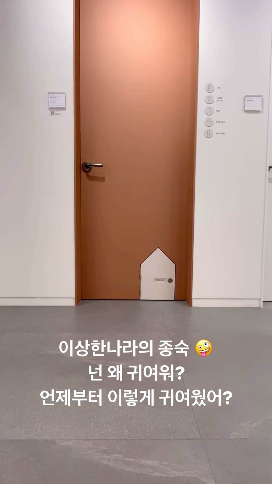 ワン・ジウォンのインスタグラム：「종석이랑 주말 데이뚜💕 왜 귀여운거야😍 사랑해 @jongduck_91 #영림」