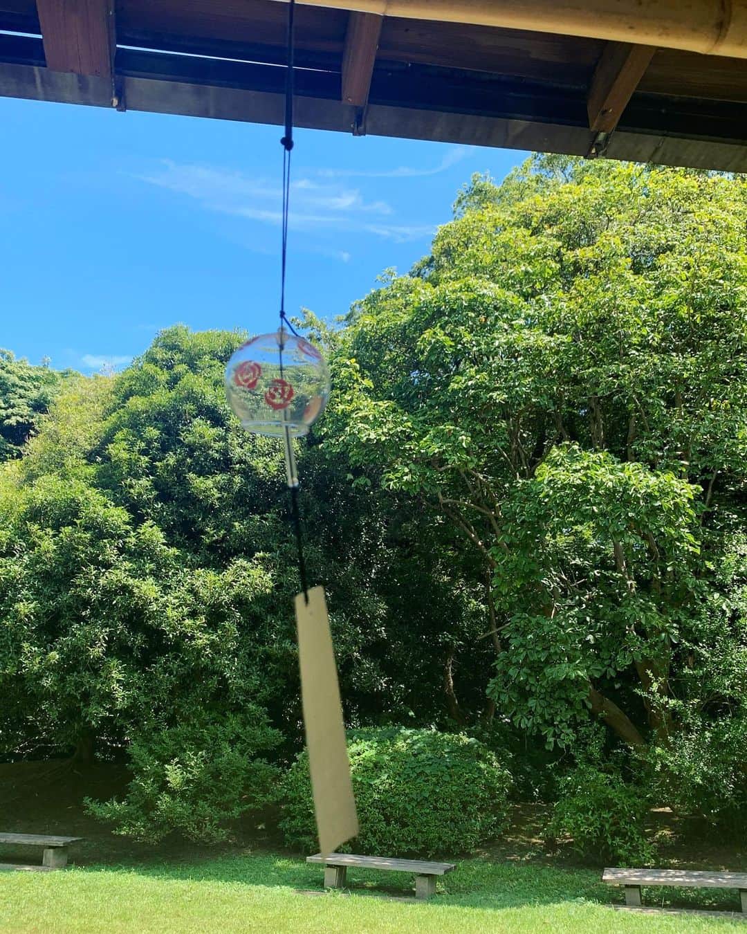いかりさとみさんのインスタグラム写真 - (いかりさとみInstagram)「船を楽しんだ後は、浜離宮に着きました♪  日本家屋の下で涼んだり、庭園の夏の花がきれいでした。 　  #都会のオアシス#浜離宮 #汐留 #東京散歩 #tokyo #nature」8月13日 9時29分 - satomi_ikari