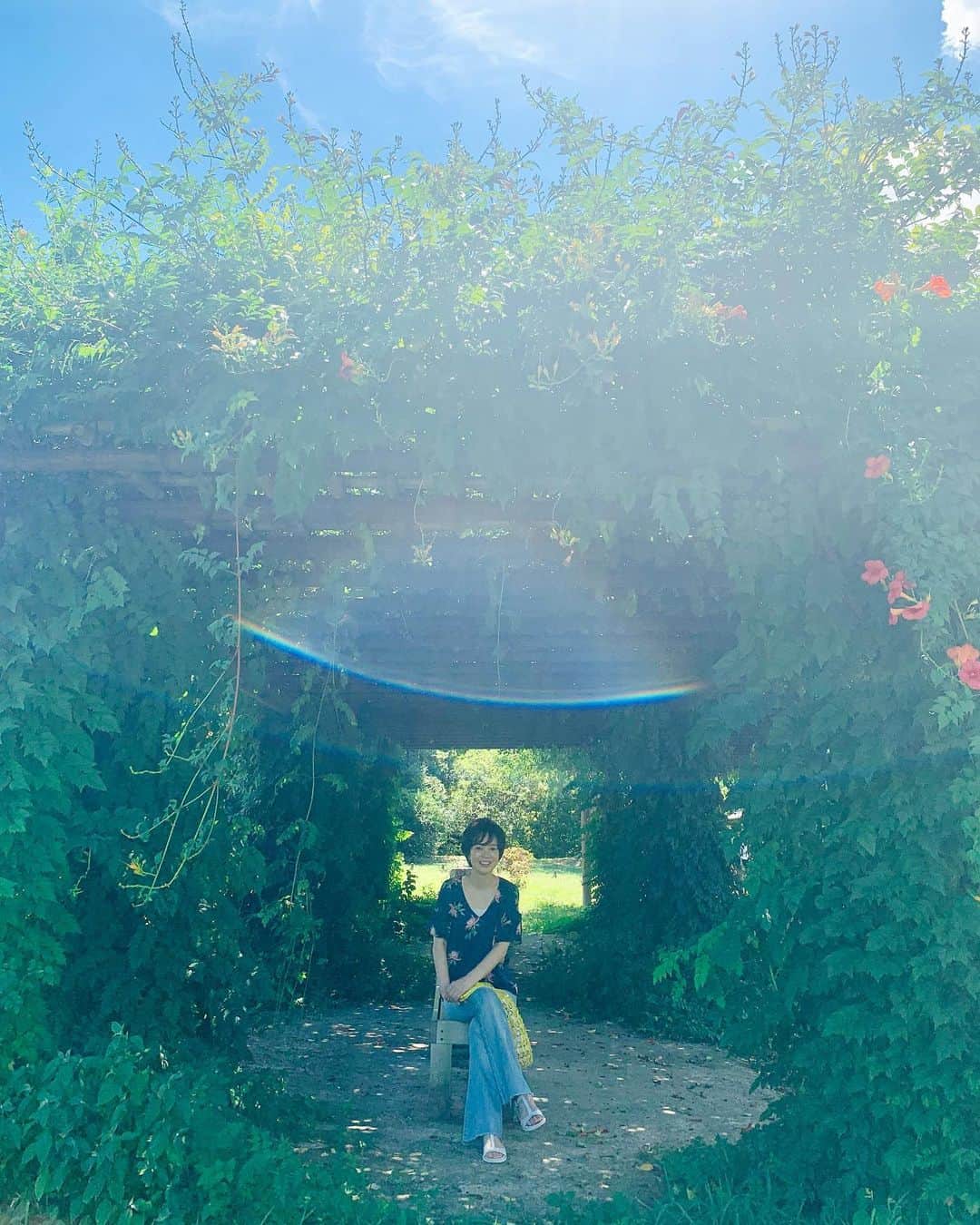 いかりさとみさんのインスタグラム写真 - (いかりさとみInstagram)「船を楽しんだ後は、浜離宮に着きました♪  日本家屋の下で涼んだり、庭園の夏の花がきれいでした。 　  #都会のオアシス#浜離宮 #汐留 #東京散歩 #tokyo #nature」8月13日 9時29分 - satomi_ikari