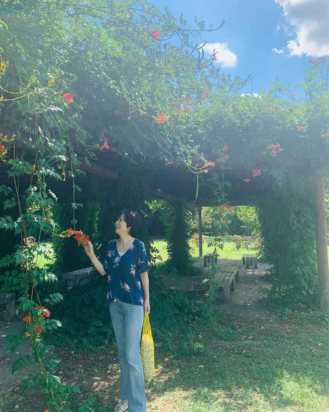 いかりさとみさんのインスタグラム写真 - (いかりさとみInstagram)「船を楽しんだ後は、浜離宮に着きました♪  日本家屋の下で涼んだり、庭園の夏の花がきれいでした。 　  #都会のオアシス#浜離宮 #汐留 #東京散歩 #tokyo #nature」8月13日 9時29分 - satomi_ikari