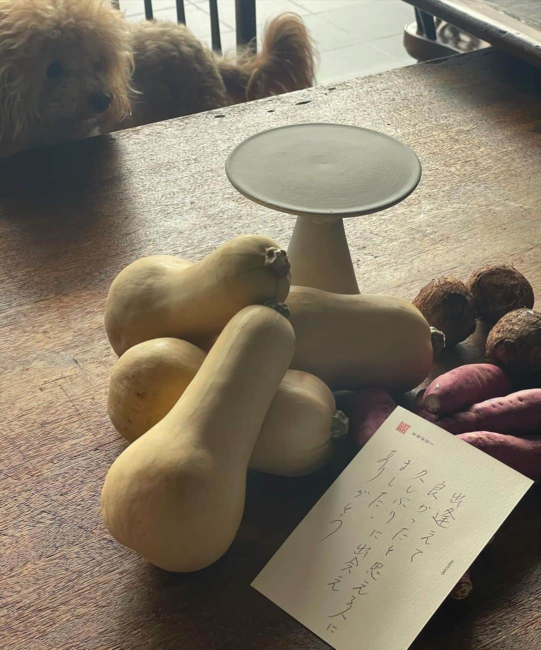 松井美緒さんのインスタグラム写真 - (松井美緒Instagram)「…言葉は何よりの贈り物。 鹿児島から採れたてお野菜と素敵な器、お手紙が届きました。 朝から優しい気持ちに🍵  #言葉の力」8月13日 9時56分 - mio.matsui