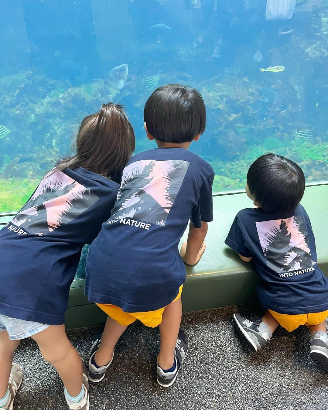 菊地あやかさんのインスタグラム写真 - (菊地あやかInstagram)「. . 大洗水族館🐟🪸🫧🤍  ˗ˏˋ 日本でもトップクラスの大型水族館　ˎˊ˗  こどもたちが大好きなお魚𓂃꙳⋆ よく釣りしに行くから3人揃って この魚は〜あの魚は〜って名前言ってて感心。 沢山お魚がいるから見ててほんと楽しい𓆡 ⋆  でも結局アザラシが1番可愛かったああ！！ 癒された可愛い飼いたい🦭💕( )  #大洗水族館#アクアワールド大洗#茨城県 #水族館#夏休み#お盆#3兄弟#男の子ママ #女の子ママ#年子ママ#8歳#6歳#4歳」8月13日 10時06分 - ayaka_official06