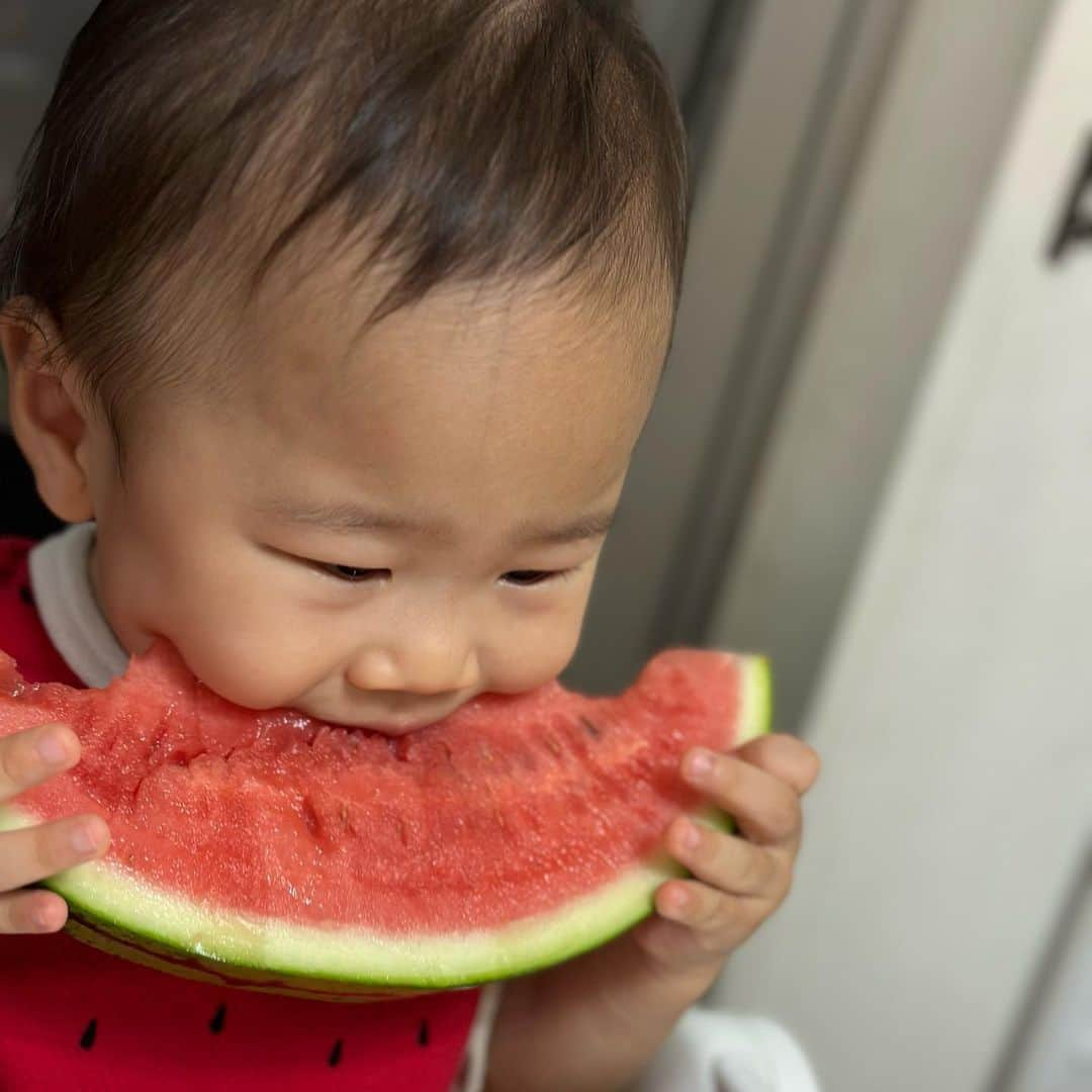 やしろ優さんのインスタグラム写真 - (やしろ優Instagram)「いっぱい食べるきみがすき〜2023夏〜🍉  #動画は #やさ丸くん家YouTubeにて #やさ丸くん家 #やさ丸 #1歳6ヶ月」8月13日 10時39分 - yashiroyuuuu