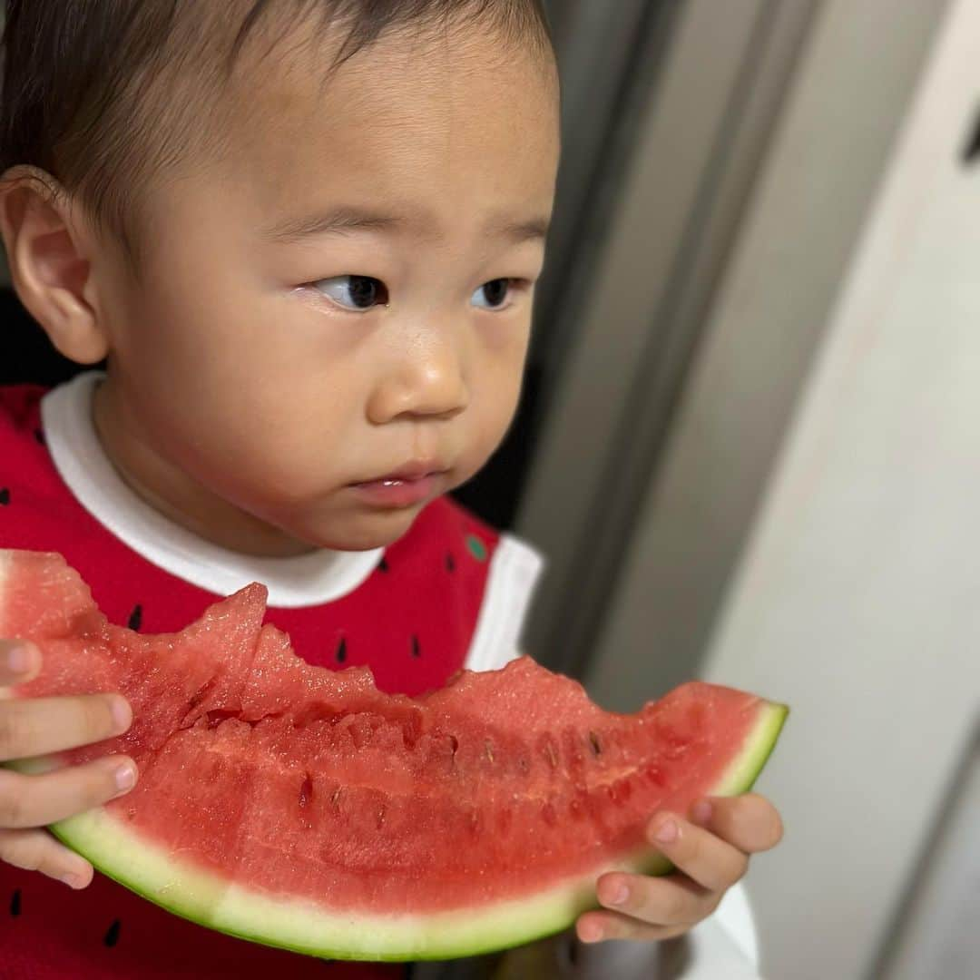 やしろ優さんのインスタグラム写真 - (やしろ優Instagram)「いっぱい食べるきみがすき〜2023夏〜🍉  #動画は #やさ丸くん家YouTubeにて #やさ丸くん家 #やさ丸 #1歳6ヶ月」8月13日 10時39分 - yashiroyuuuu