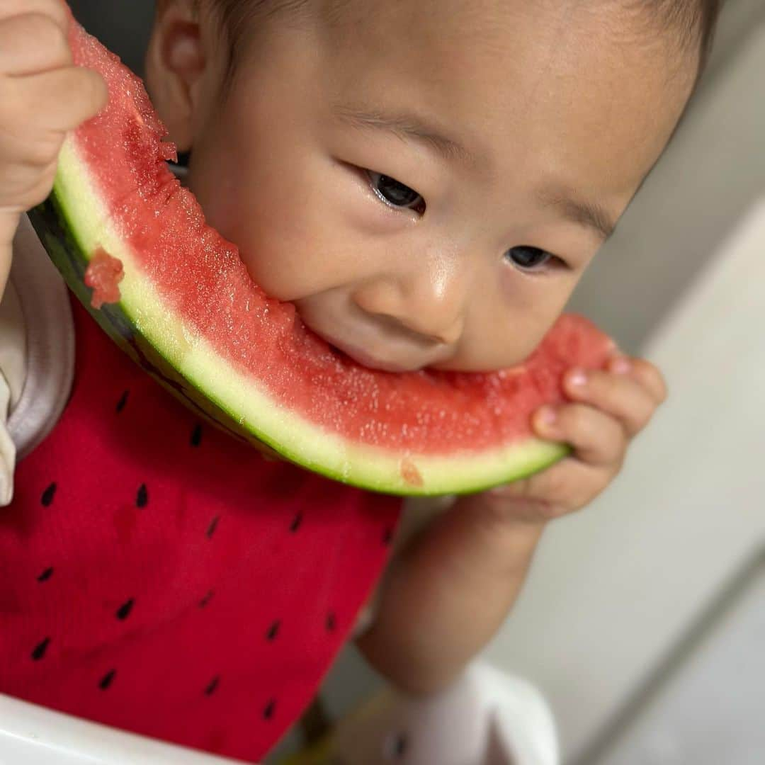 やしろ優さんのインスタグラム写真 - (やしろ優Instagram)「いっぱい食べるきみがすき〜2023夏〜🍉  #動画は #やさ丸くん家YouTubeにて #やさ丸くん家 #やさ丸 #1歳6ヶ月」8月13日 10時39分 - yashiroyuuuu