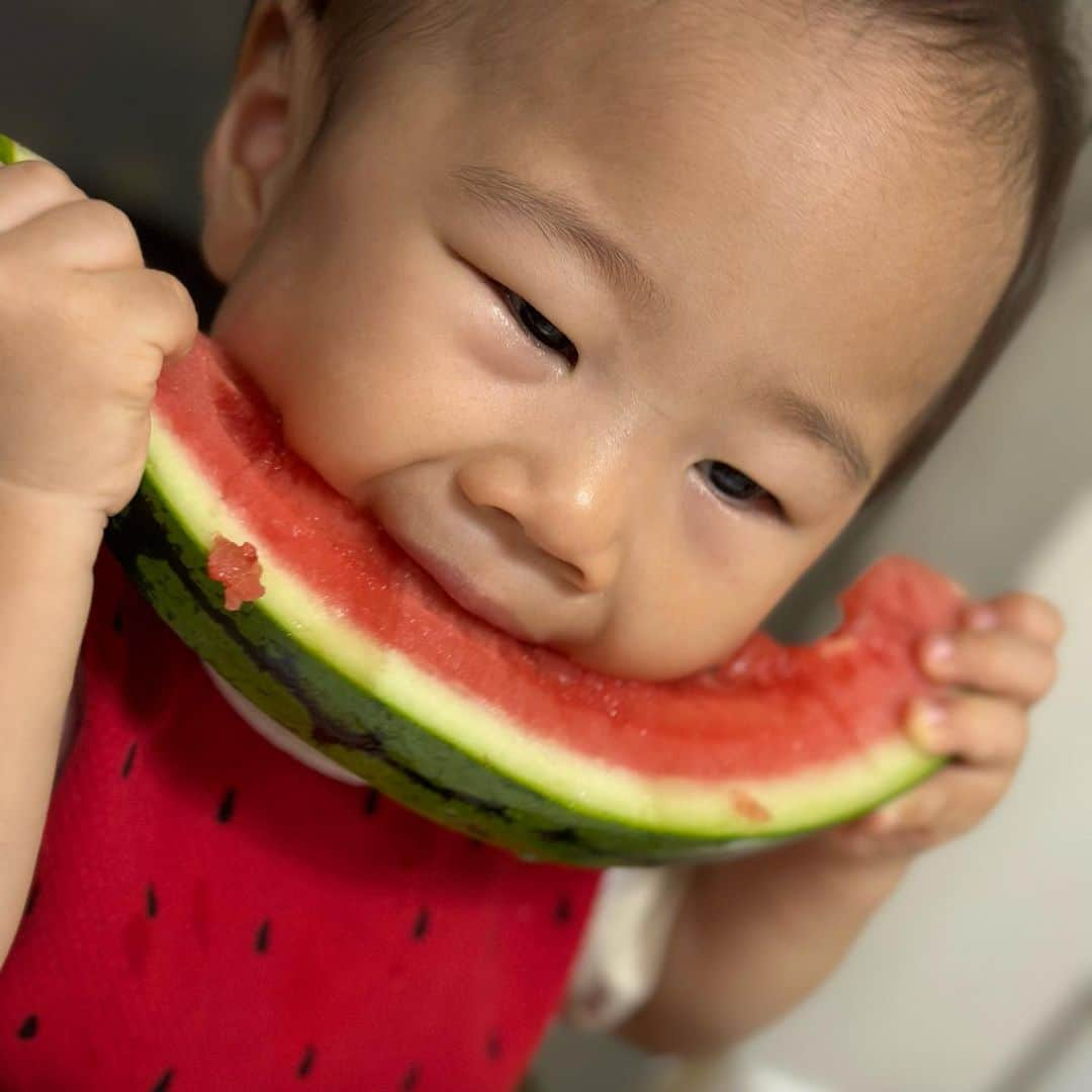 やしろ優さんのインスタグラム写真 - (やしろ優Instagram)「いっぱい食べるきみがすき〜2023夏〜🍉  #動画は #やさ丸くん家YouTubeにて #やさ丸くん家 #やさ丸 #1歳6ヶ月」8月13日 10時39分 - yashiroyuuuu