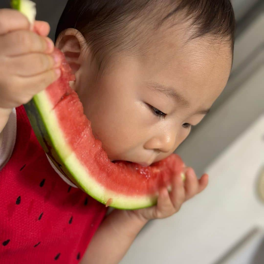 やしろ優さんのインスタグラム写真 - (やしろ優Instagram)「いっぱい食べるきみがすき〜2023夏〜🍉  #動画は #やさ丸くん家YouTubeにて #やさ丸くん家 #やさ丸 #1歳6ヶ月」8月13日 10時39分 - yashiroyuuuu