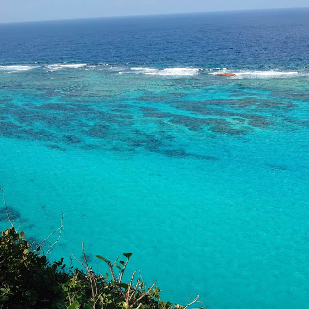 森末慎二のインスタグラム：「🦐みやーく商店です。  今日も宮古島は晴れ☀時々曇り気温32度微風、暑い😨🔥 しっかり水分補給して熱中症に注意してください。  お店は日曜日なのでランチのみの営業です。皆さんのお越しをお待ちしています。  お店電話番号  0980-79-9292 田中店長　070-8429-7387 お昼ランチはオープン11:30〜14:30ラストオーダー15:00です。夜の🏮居酒屋は17:30から21:00です。予約のお電話お待ちしています。定休日は水曜日、木曜日です。#みゃーく商店  #宮古島 #天丼 #宮古島野菜 #宮古島ランチ #宮古島グルメ #車海老 #グルクンの天ぷら #宮古島ごはん #宮古島天丼 #宮古島海老天丼 #沖縄天丼 #海老天丼 #海老 #島食材 #沖縄宮古島 #沖縄 #パパイアの天ぷら   #車海老天丼  #okinawa #居酒屋#miyakojima #森末慎二 #morisue shinji #TUBE #前田亘輝 #BEGIN  #サザンオールスターズ  #松田弘」
