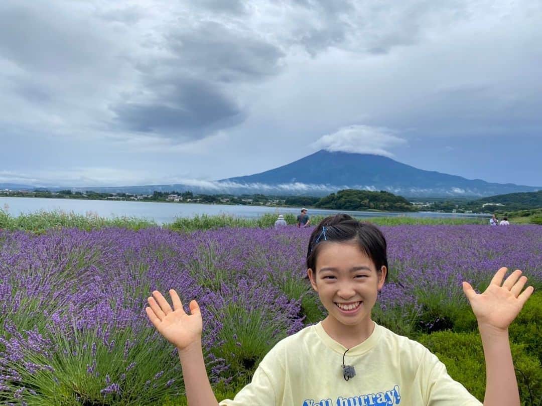 村山輝星のインスタグラム：「📺 出演情報 📺  日本テレビ「ヒルナンデス！」に出演いたします！  2023年8月14日(月)11時55分〜13時55分  是非チェックお願いいたします！  #村山輝星 #劇団東俳 #Tプロジェクト #出演情報 #ヒルナンデス！」