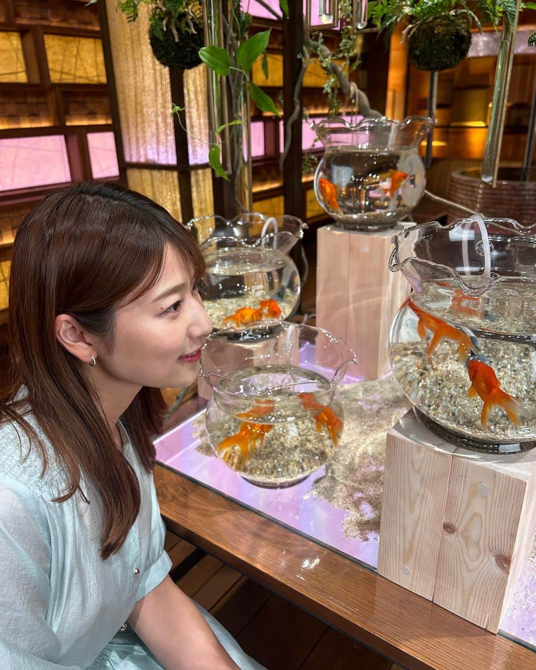 安藤萌々さんのインスタグラム写真 - (安藤萌々Instagram)「金魚鉢に金魚が泳いでいました🐟🫧   セットアップ NOLLEY'S ピアスete  トップス、スカート NOLLEY'S ピアスJouete 靴DIANA   大きくて立派な #流金 (だと思う) 尾が綺麗でした🫧  #ゴルフ焼け #ゴルフ #女性アナ  #アナウンサー #衣装  #夏服  #メイク  #外ハネ  #ウォームスプリング  #骨格ウェーブ #骨格診断  #イエベ春 #パーソナルカラー  #ソフトエレガント #フレッシュ #メイク #ヘアアレンジ #大人かわいい コーデ  #綺麗め #ソフエレ #ENTP  #ワンピース #モノトーン  #イメコン #コーディネート」8月13日 12時14分 - momo_ando_ex