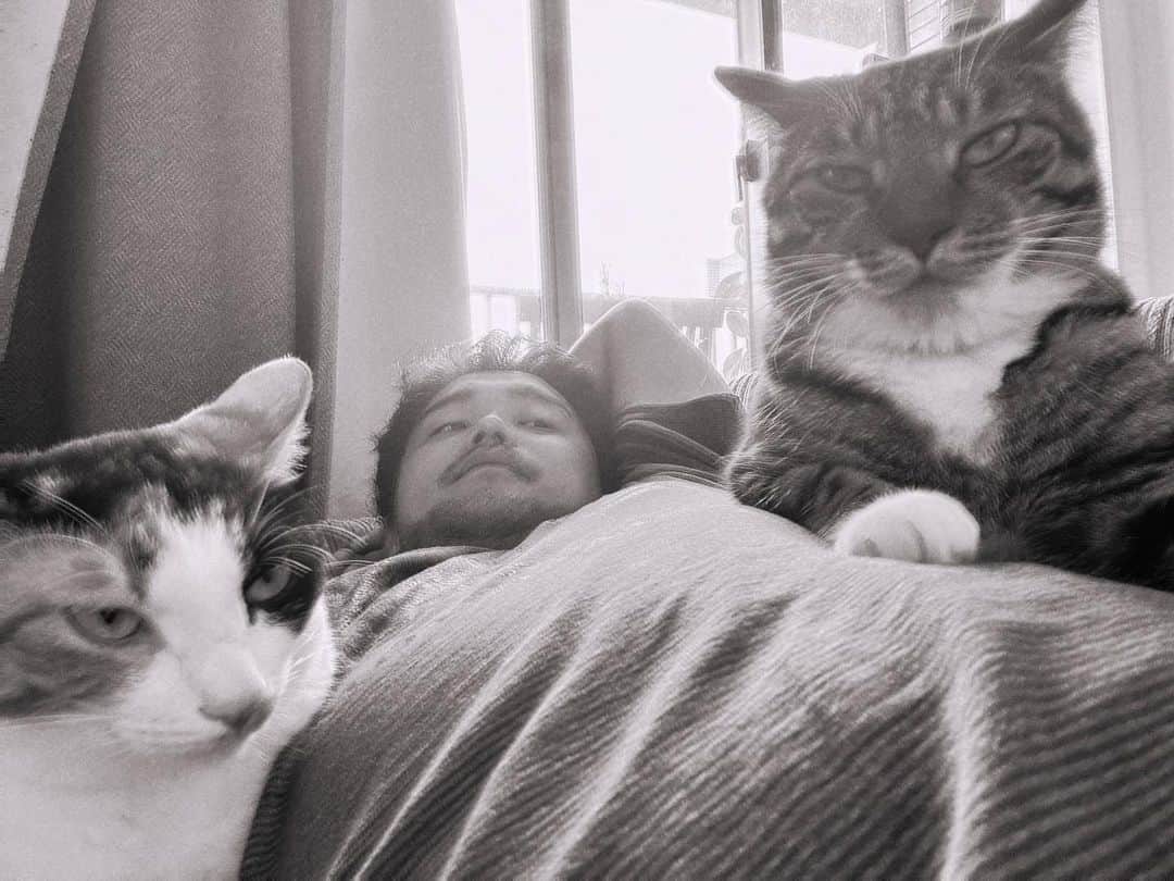 のインスタグラム：「カメラ嫌い過ぎる猫達😾」