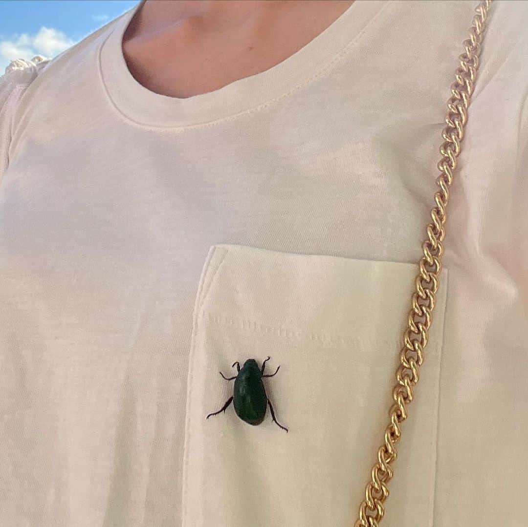 池間夏海さんのインスタグラム写真 - (池間夏海Instagram)「☽༓･*˚」8月14日 0時13分 - ikemanatsumi_official