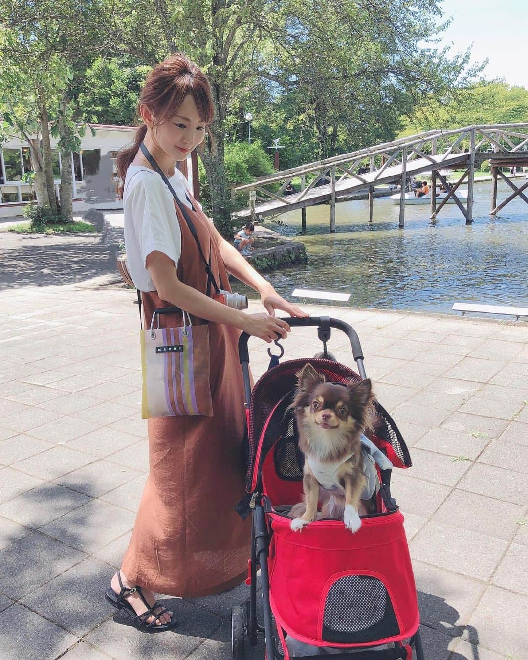 花清まゆこさんのインスタグラム写真 - (花清まゆこInstagram)「息子たちが大きくなったから、 もうベビーカー卒業のはずが、、  今度はお犬様のバギーを押す日々になるとは🤭🤭🤭  #犬のいる暮らし  #バギー #犬用バギー #チワワ部  #チワワのいる暮らし  #チョコタン #軽井沢 #軽井沢旅行  #避暑地 #dog #タリアセン #軽井沢タリアセン #犬連れ旅行　 #marni」8月14日 0時16分 - mayuusa610