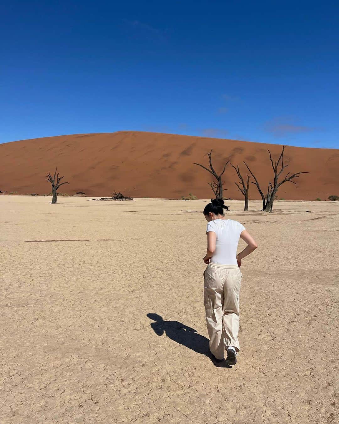 エレナ・アレジ・後藤のインスタグラム：「dune」