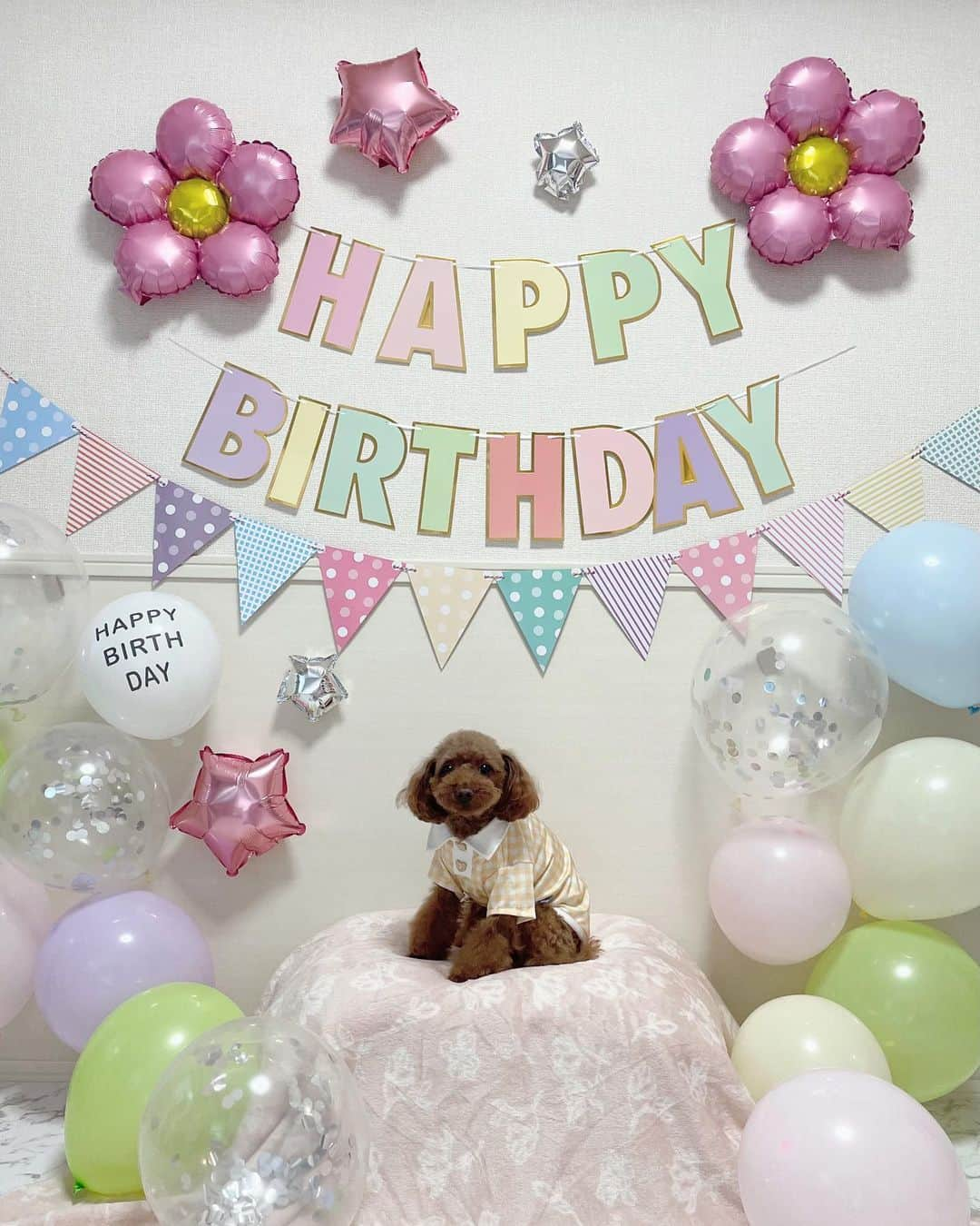 平野もえのインスタグラム：「お誕生日おめでとう🐶🎂🩷  家族になってくれてありがとう。 これからも一緒に 楽しい時間を過ごしていこうね〜♡  #トイプードル #女の子 #お誕生日 #お誕生日ケーキ #お誕生日プレゼント #お誕生日おめでとう #お誕生日会 #お誕生日パーティー #4歳 #いつもありがとう」