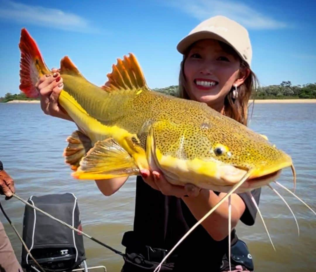 冨士木耶奈のインスタグラム：「. カナナーナが釣った ピララーラ🥰🎣  きょう19時にYouTube アマゾン編アップします！！ 冨士木耶奈のYouTube チャンネル登録して 19時まで待っちょってな〜😚❤️  #アマゾン川 #怪魚 #ピララーラ  #amazonriver #brazil #pirarara  #wildlife #冨士木耶奈 #🎣」