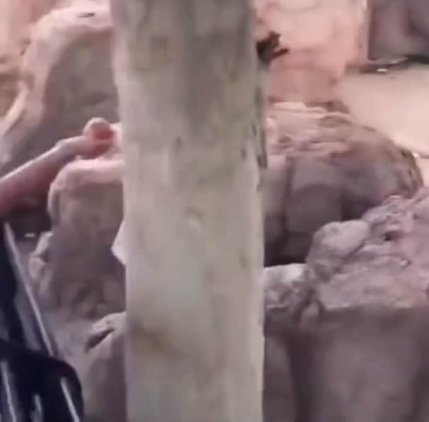 ノーマン・リーダスのインスタグラム