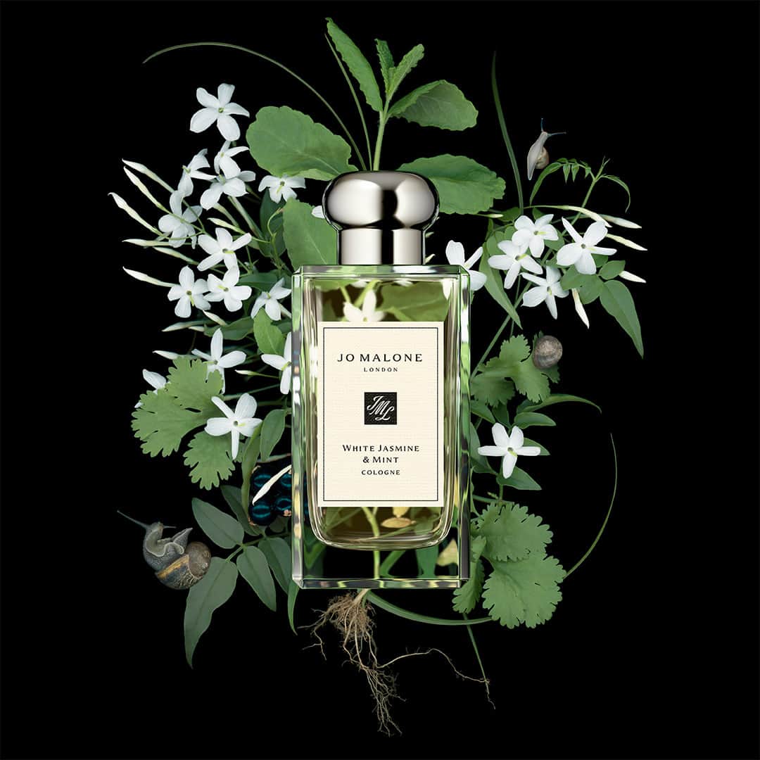 Jo Malone Londonさんのインスタグラム写真 - (Jo Malone LondonInstagram)「The Archive Collection is a unique representation of Britain’s quirks and traditions. Delve in online and explore the crisp and enchanting White Jasmine & Mint. Tap to shop yours.」8月13日 18時09分 - jomalonelondon