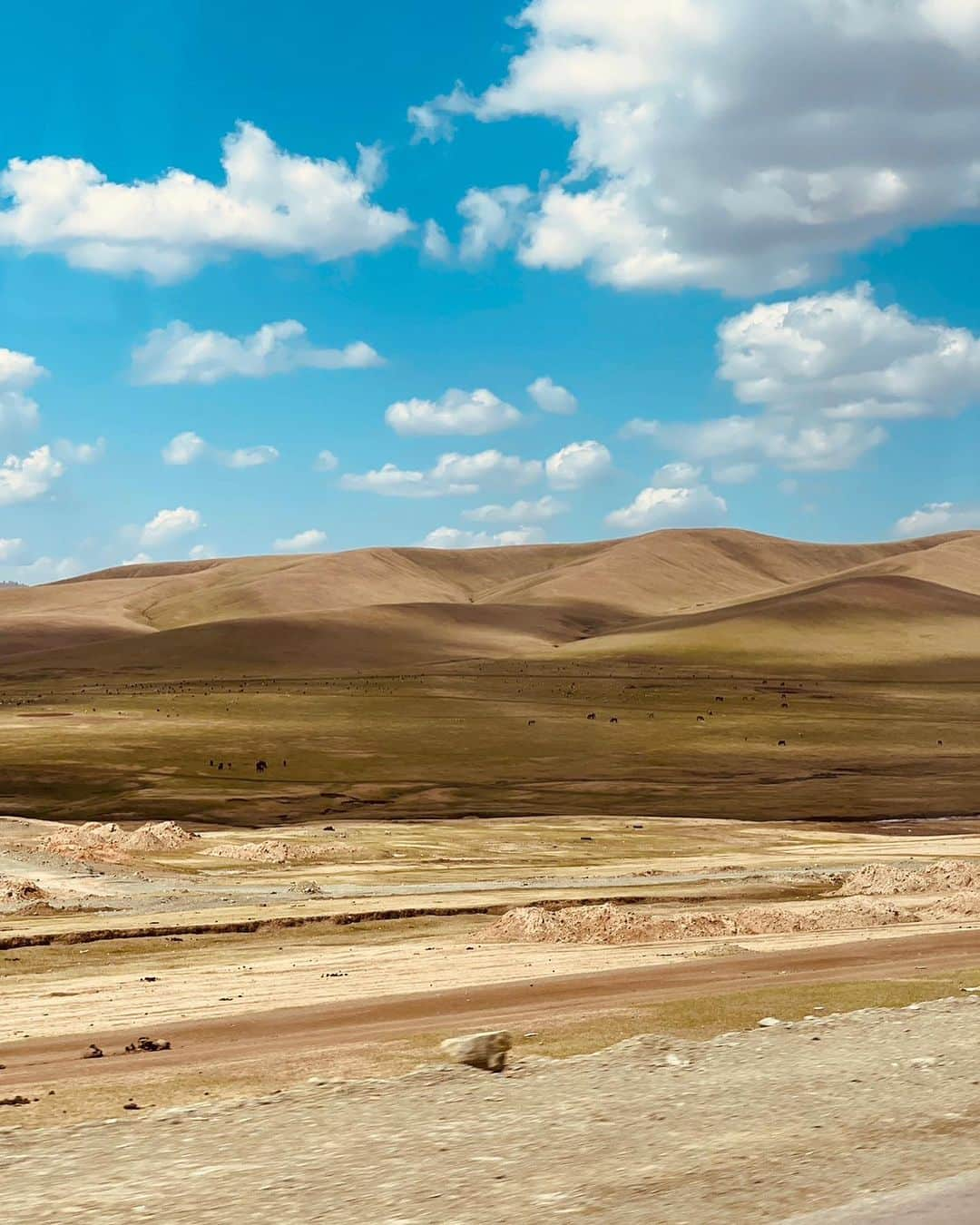 竜星涼のインスタグラム：「#リアル  #ビッグサンダーマウンテン #memory #mongolia🇲🇳  #雪とかふったな〜」