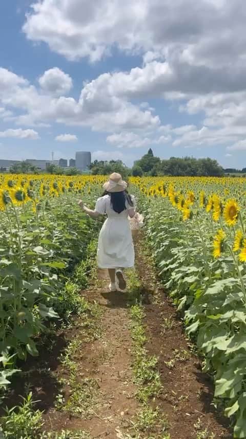 れみぱんのインスタグラム：「昨日のリールとの温度差🌻」