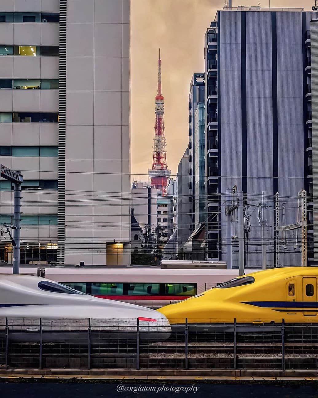 東京タワーさんのインスタグラム写真 - (東京タワーInstagram)「. ビルとビルの合間から 顔を覗かせる東京タワー🗼   そのちょうど真ん前で 電車が交差する一瞬を捉えたこちらの一枚。   点検用新幹線車両 「ドクターイエロー」も見えます！ 何かラッキーな気分になりますね✨   本日は、Your Tokyo Tower🗼から @corgiatom さんのお写真をご紹介！   素敵なお写真をありがとうございました😊  --------------------------------  【 お知らせ 】  ■ Your Tokyo Tower 🗼  # your_tokyotowerで あなたの東京タワーをリポスト！  @tokyotower_official の タグ付けをしてくれると見つけやすいよ！  皆様からの投稿 どしどしお待ちしております！  ■ 公式LINE  東京タワー公式LINEでは 東京タワーのイベント情報を お届けしています！  詳細はプロフィールにあるリンクから↓ @tokyotower_official  --------------------------------  #東京タワー #東京タワー🗼  #tokyotower #tokyotower🗼  #電車 #新幹線 #train」8月13日 18時39分 - tokyotower_official