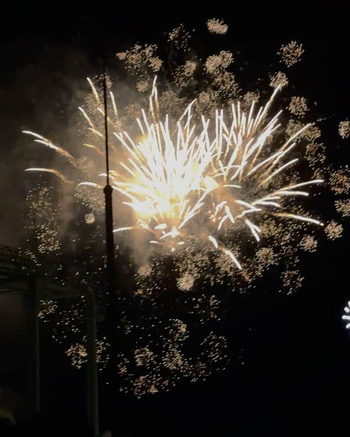 西谷菜々のインスタグラム：「. 今年は沢山花火見れて嬉しい♡ #神宮花火大会」