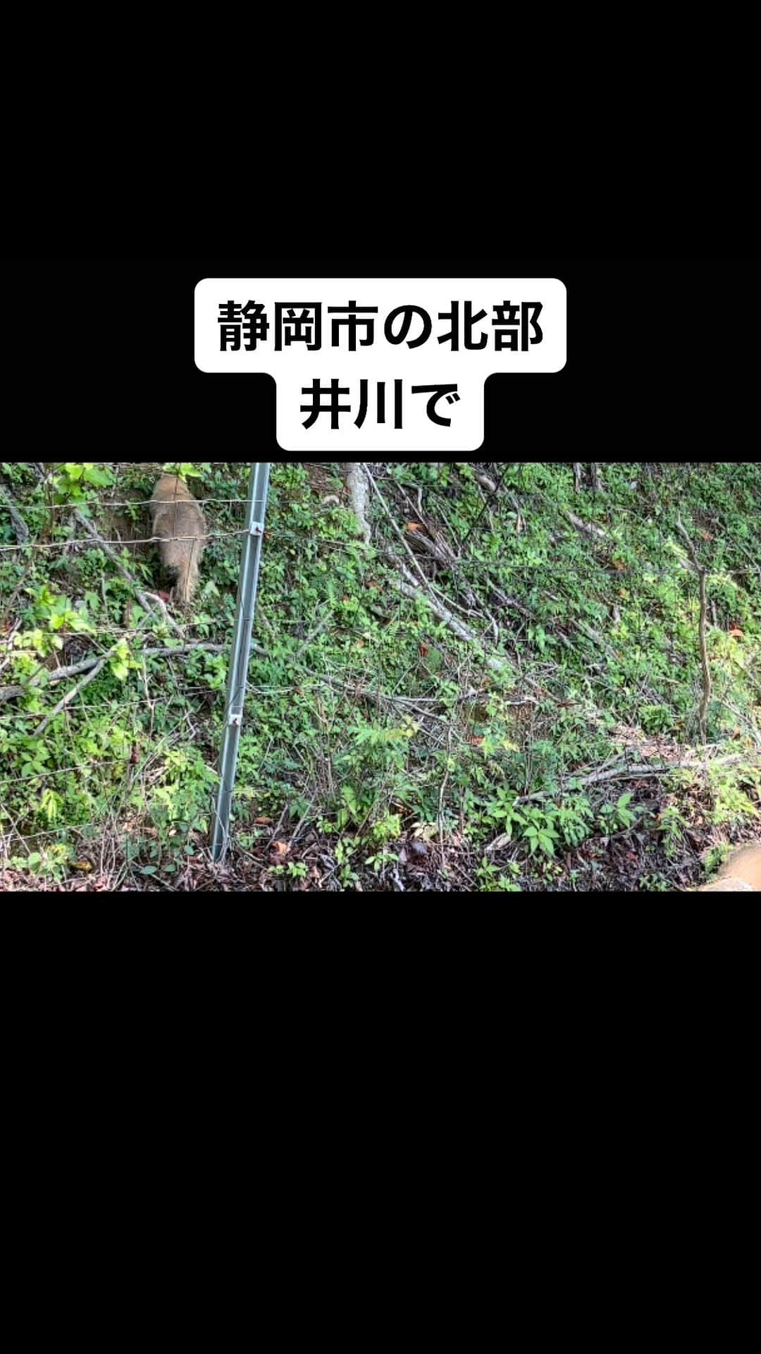 牧野克彦のインスタグラム