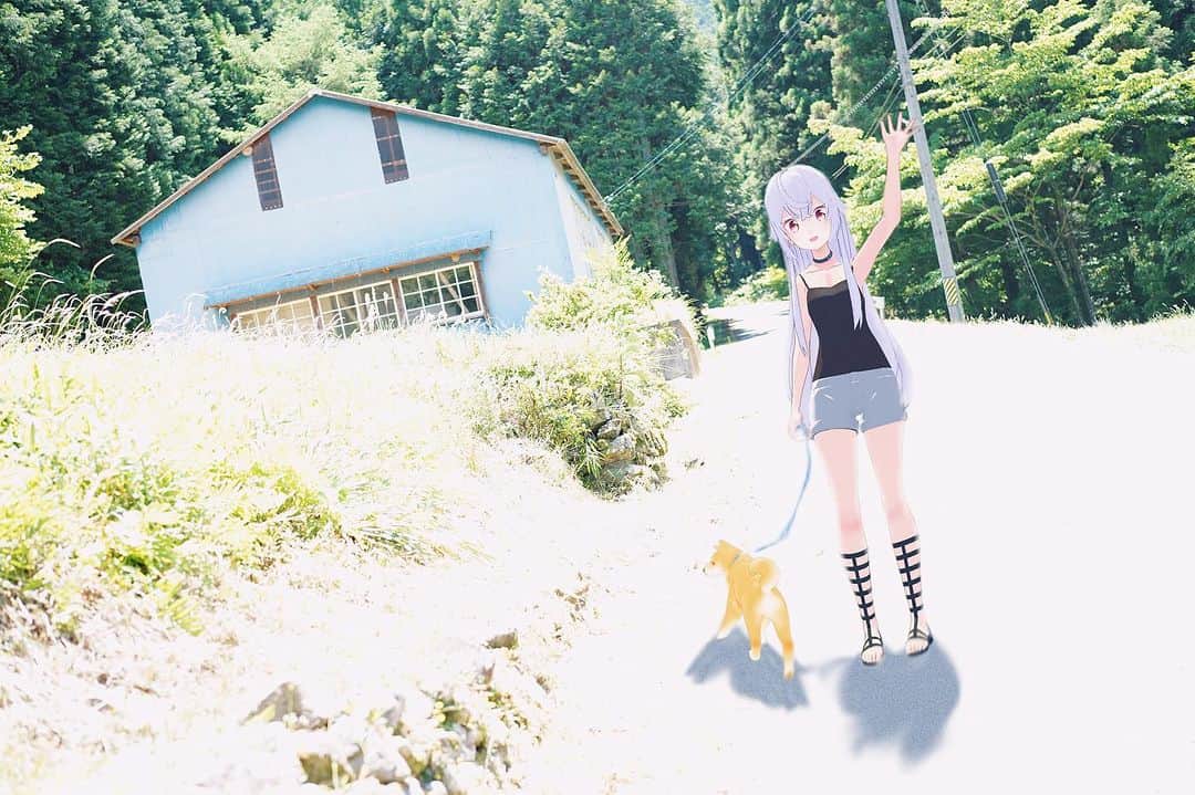アズマリムのインスタグラム：「🐕🐈🌳✨  #summer #散歩 #柴犬 #shibainu #azumalim #田舎の風景」