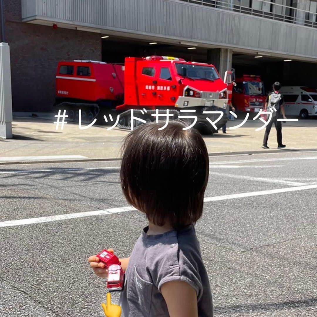 ram?rickさんのインスタグラム写真 - (ram?rickInstagram)「#レッドサラマンダー #ラッキー　#消防車 🚒 #トミカ」8月13日 20時47分 - asanoram