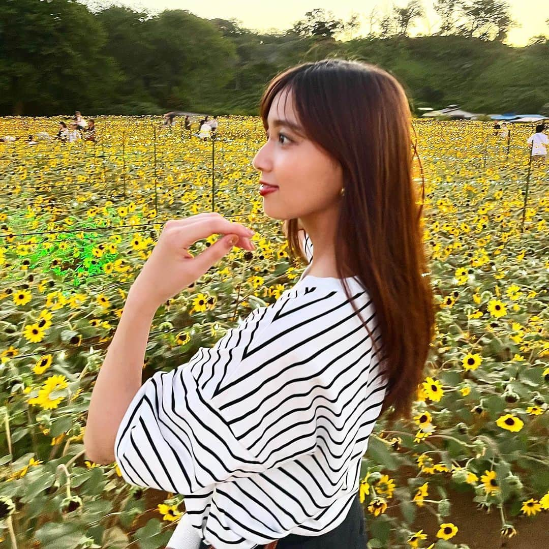 間瀬遥花のインスタグラム：「. 🌻🌻🌻 . . . #ひまわり畑 #ひまわり #ひまわり迷路 #向日葵 #向日葵畑 #ヒマワリ #ヒマワリ畑 #東京ドイツ村 #ドイツ村 #千葉 #千葉県 #paris64 #shoolarue #moussy #ボーダー #ボーダートップス #ボーダーtシャツ #ボーダーt #ボーダーコーデ」