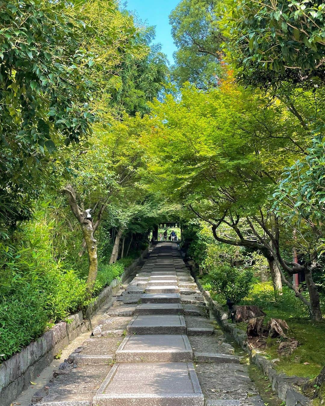 Manaさんのインスタグラム写真 - (ManaInstagram)「⛩️🌻🍃𝑲𝒀𝑶𝑻𝑶 𝒊𝒏 𝒔𝒖𝒎𝒎𝒆𝒓❤︎ 京都旅行してきました♩ ⁡ 初めて夏着物を着てみました👘 さらっとした素材で涼しかったです😊 ⁡ 朝顔柄の帯が素敵でお気に入りのコーデ💓 ⁡ ⁡ たまたま祇園祭の後祭がやっていたので 夜までしっかり京都を堪能してきました🏮✨ ⁡ 京都はどんな季節もそれぞれ綺麗で 緑豊かな京都も美しかった！☺️🍃 ⁡ ⁡ 夏の良い思い出になりました🐾 ⁡ ⁡ ⁡ ⁡ ⁡ #京都の思い出 #そうだ京都行こう #京都 #京都旅行#着物コーディネート #着物好き #着物 #きもの #和服 #着物ヘア #祇園 #祇園祭 #八坂神社 #八坂の塔 #円山公園 #高台寺 #清水寺 #京都タワー #にしんそば #着物女子 #新緑 #夏の京都 #京都の風景 #kyotojapan #kimono #kimonostyle #kimonofashion #gionfestival」8月13日 21時25分 - mana.tcy