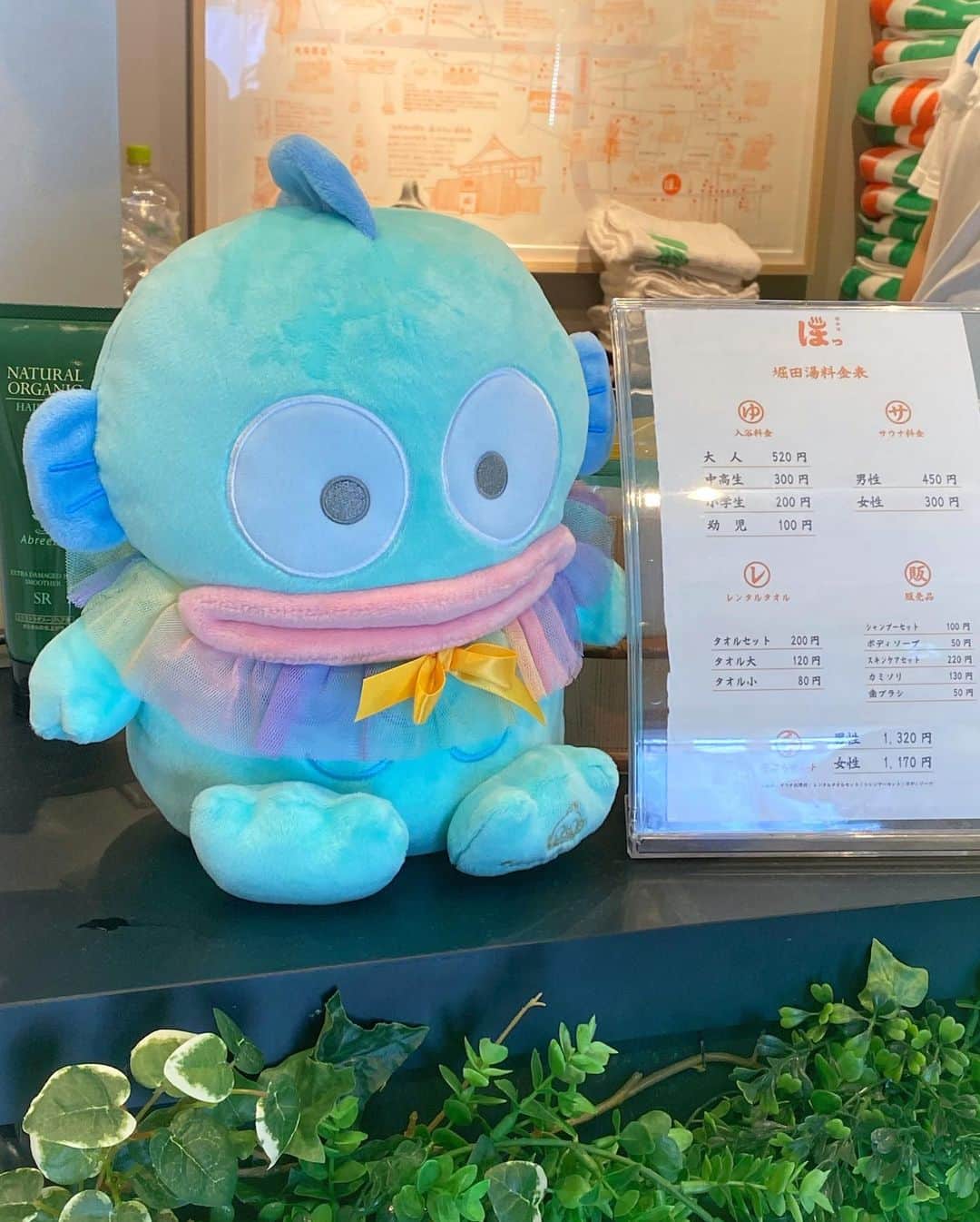 澪花さんのインスタグラム写真 - (澪花Instagram)「♨#山雫湯 （まうんてんでゆ）  ⊹ ࣪˖ ┈┈ ˖ ࣪⊹ ┈┈⊹ ࣪˖ ┈┈˖ ࣪⊹ ◇「堀田湯」東京都足立区関原3-20-14 ◇ 8/11（金・祝）～8/16（水） ◇ 平日 14:00〜24:00 / 土日祝 8:00〜24:00 ⊹ ࣪˖ ┈┈ ˖ ࣪⊹ ┈┈⊹ ࣪˖ ┈┈˖ ࣪⊹  「山雫湯（まうんてんでゆ）」の案内役に #ハンギョドン が就任したと聞いて行ってきました✨ （ハンギョドンオタクの彼氏に同行…🐟笑）  銭湯の壁やロッカー、番台にもハンギョドン！ ゆっくり銭湯を楽しんだあとは マウンテンデューとステッカーももらえました♡ サウナ後の冷たいマウンテンデューは最高🥰  ハンギョドンとのコラボ期間は来週16日まで！ 気になる方はお見逃しなく🫧  #マウンテンデュー #山雫湯でお会いしましょう  #銭湯 #サウナ #サンリオ #オタ活 #堀田湯 #サ活」8月13日 21時28分 - reicameraaa