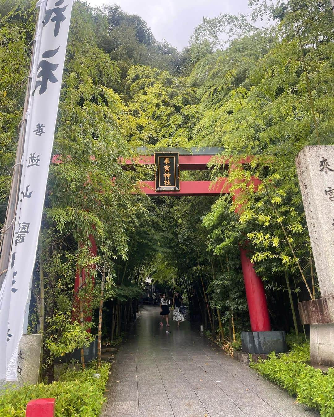 植田麻友美のインスタグラム：「ずっと行きたかった  熱海にある来宮神社⛩  もー素晴らしすぎる⛩でした！  三大楠木がある⛩で  大楠の木の周りを歩く前から  ピリピリとすごい気が伝わってきて✨  感動しました🍀  大楠の木の周りを1周すると  寿命が1年伸びると言われてるくらい🌳  また参拝必ずしたい⛩   #来宮神社   #熱海神社   #大楠の木  #三大楠木  #神社好きな人と繋がりたい   #湯前神社」