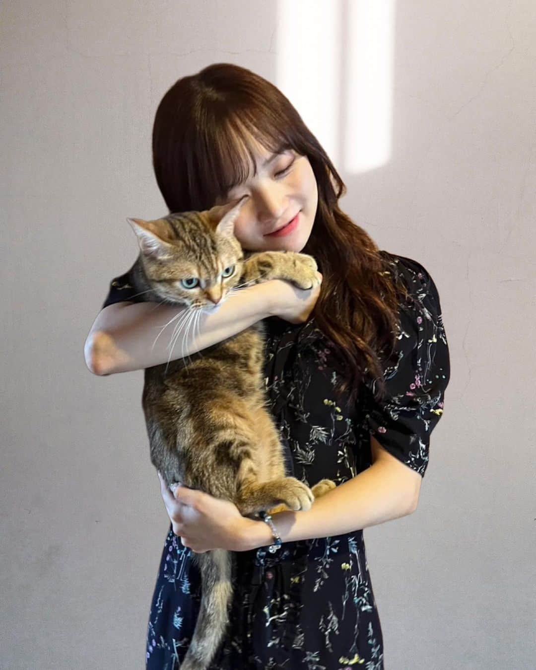 稲場愛香さんのインスタグラム写真 - (稲場愛香Instagram)「🐈🫨 ⁡ ろあてゃ、、、 ⁡ ⁡ #愛猫 #ロアちゃん #今回はかなり甘々だったのに  #写真はブレブレ #アメショ #猫のいる暮らし  #稲場愛香」8月13日 21時53分 - manaka_inaba.official