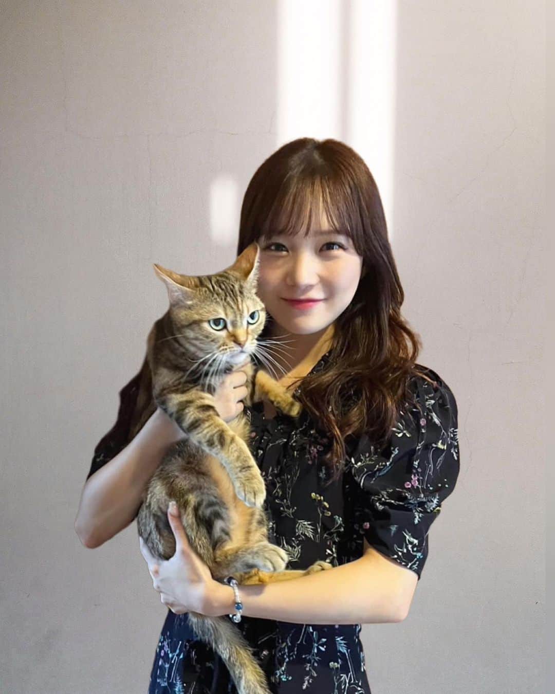 稲場愛香のインスタグラム：「🐈🫨 ⁡ ろあてゃ、、、 ⁡ ⁡ #愛猫 #ロアちゃん #今回はかなり甘々だったのに  #写真はブレブレ #アメショ #猫のいる暮らし  #稲場愛香」