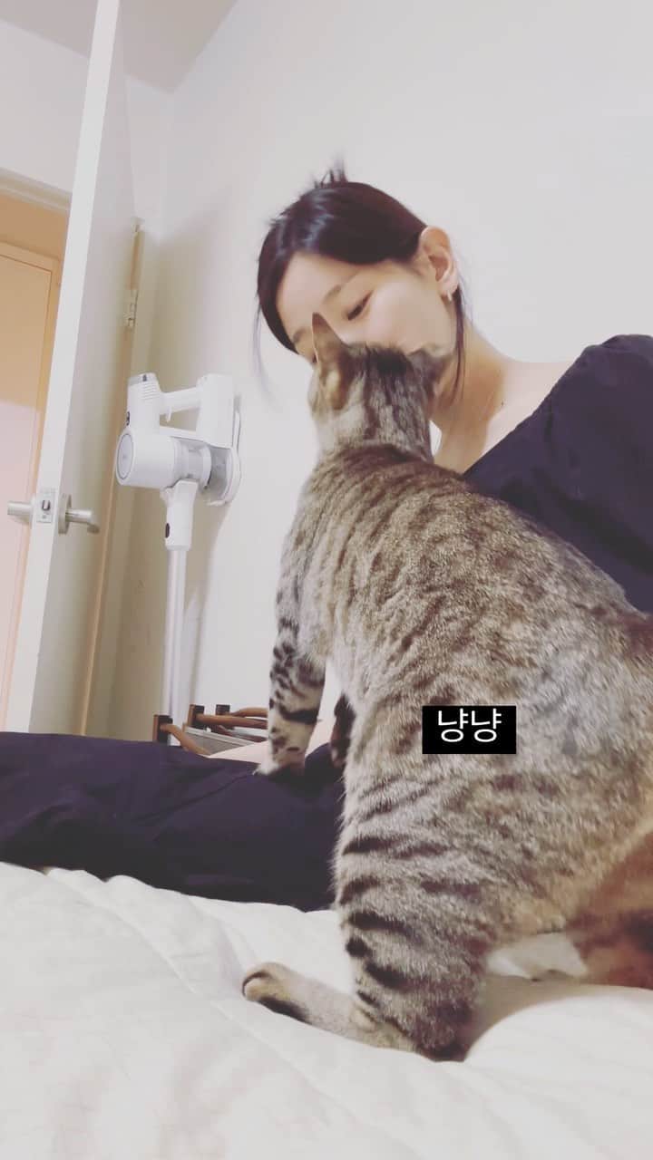 のインスタグラム：「냥냥힐링😽」