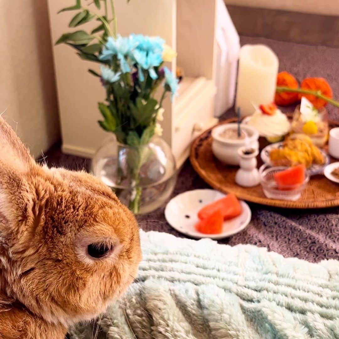 Chieko Shibutaのインスタグラム