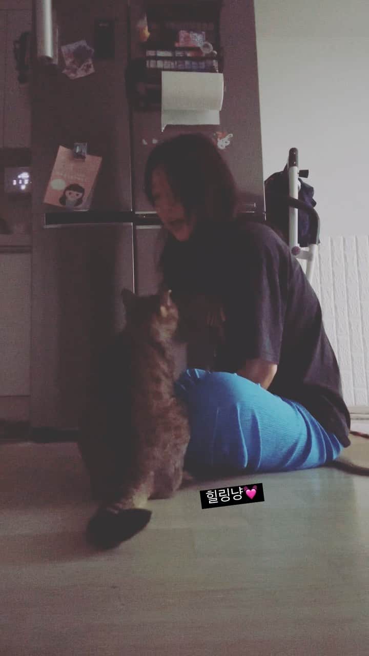 のインスタグラム