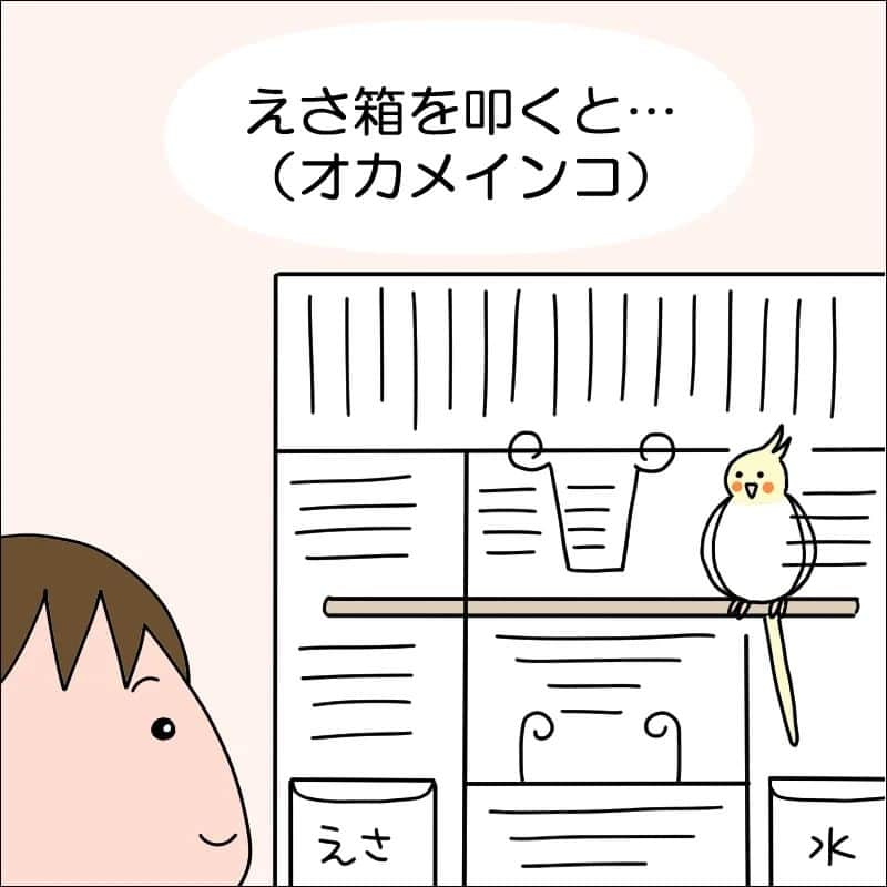 あぽりさんのインスタグラム写真 - (あぽりInstagram)「オカメインコのほっぺです♪⁡ ⁡えさ箱を叩くと食べに来る！⁡ ⁡「ご飯だよー」って言葉が通じてるみたいね🥰 ⁡⁡ ⁡詳しくは、ストーリー、ハイライト、⁡ ⁡プロフィール(@apori33 )のリンクから⁡ ⁡飛んで読んでみてください♪⁡ ⁡⁡ ⁡昨日のポストにコメントありがとうございました☺️⁡ ⁡死刑にいたる病は、私も阿部サダヲさん、嫌いになりそうでした😂😂⁡⁡⁡ ⁡再放送でマルモのおきてをやっていたので、それでまた好きになり🤭⁡ ⁡キャラクター、上映中から気になっていた映画でした。⁡ ⁡御手洗家は寝不足注意⚠️ ⁡ハッピーデスデイの2は、まだ配信されてなくて、いつか配信してくれるかな？⁡ ⁡わたしの幸せな結婚、幸せになって欲しいーーと願いながら見ています🥰⁡⁡ ⁡実写版も見てみたいな！  ⁡ #オカメインコ  #ほっぺ  #ルチノー  #ペット  #インコ  #絵日記  #絵日記ブログ  #イラスト  #イラストエッセイ  #漫画  #漫画ブログ  #あぽり  #ライブドアインスタブロガー  #ライブドア公式ブロガー⁡ ⁡⁡ ⁡」8月14日 9時47分 - apori33