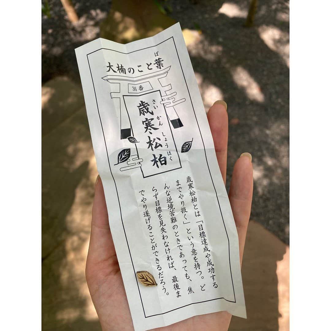 吉野史桜さんのインスタグラム写真 - (吉野史桜Instagram)「友に会いにいく静岡旅〜❶  たまちゃんに誘ってもらって、 結構急に静岡に行きました✨  とはいえ現地集合だったので、行き帰りはひとり😂😂  私は東京から小田急線とJR使って4時間くらいかけて行ったよ〜🚃  行きは熱海にほんのちょっとだけ寄り道。  まずは来宮神社へ⛩️  たまに言ってると思いますが 私はでっかい木が好きなので、 天然記念物でもある『大楠』目当てに参拝🌳  　●幹を１周廻ると寿命が１年延命する伝説 　●心に願いを秘めながら１周すると願い事が叶う伝説  があるということで、もちろん一周してきたよ😇  寿命延びたわ〜🌱✨  『大楠のことば』を引いたら 「歳寒松柏」。 焦らずってとこがカギだよなぁ🥳 ブレずに自分を生きてこう✌️  神社はそこまで広くはないんだけど、 飲食できるスペースが結構あって、みんなゆったり寛いでいる空気感がまたよかったな✨  私も麦こがしソフトクリームをいただいたよ〜🍦😋  #熱海 #来宮神社 #来宮神社の大楠 #大楠 #静岡 #麦こがしソフトクリーム」8月14日 10時16分 - shionyoshino