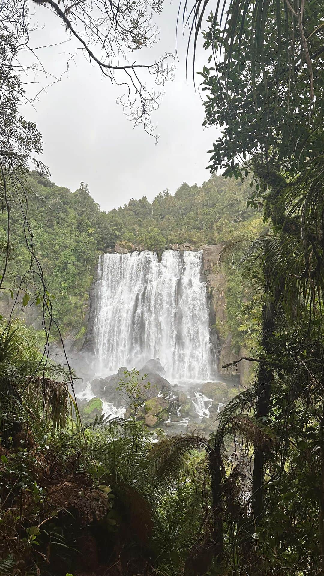 デイジー・クレメンタイン・スミスのインスタグラム：「Expecting to find fairies and trolls around every corner. New Zealand is something out of a storybook」