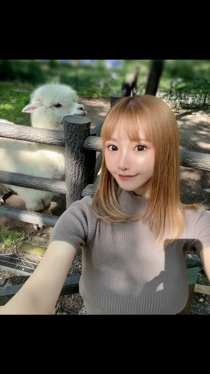 佐崎きさきのインスタグラム：「おはようございます☁️☂️( ˶˙ᵕ˙˶ ) 🦙 ̖́-アルパカ(・´ｪ`・)さんと2ショット( ∩'-'📷⊂ ) ⛈🌪⛈台風気をつけて下さいね🌀」