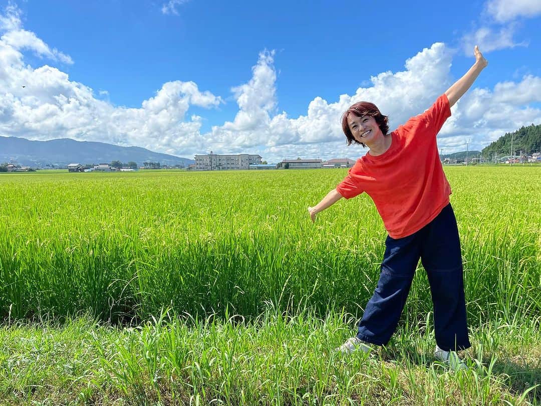 住吉美紀さんのインスタグラム写真 - (住吉美紀Instagram)「お盆の法事で岩手、義理の実家へ。稲がだいぶ成長していた。実りに感激！  #岩手 #奥州市 #田んぼ #ひとめぼれ #ricefield #iwate」8月14日 8時21分 - miki_sumiyoshi