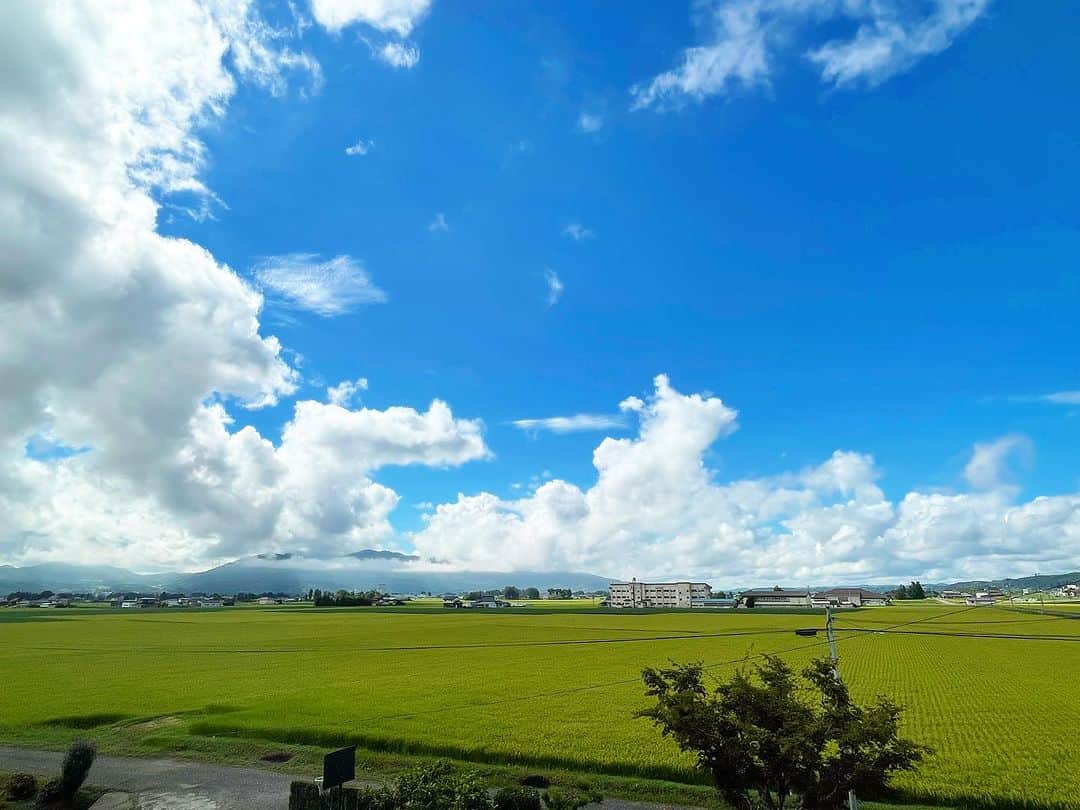 住吉美紀さんのインスタグラム写真 - (住吉美紀Instagram)「お盆の法事で岩手、義理の実家へ。稲がだいぶ成長していた。実りに感激！  #岩手 #奥州市 #田んぼ #ひとめぼれ #ricefield #iwate」8月14日 8時21分 - miki_sumiyoshi