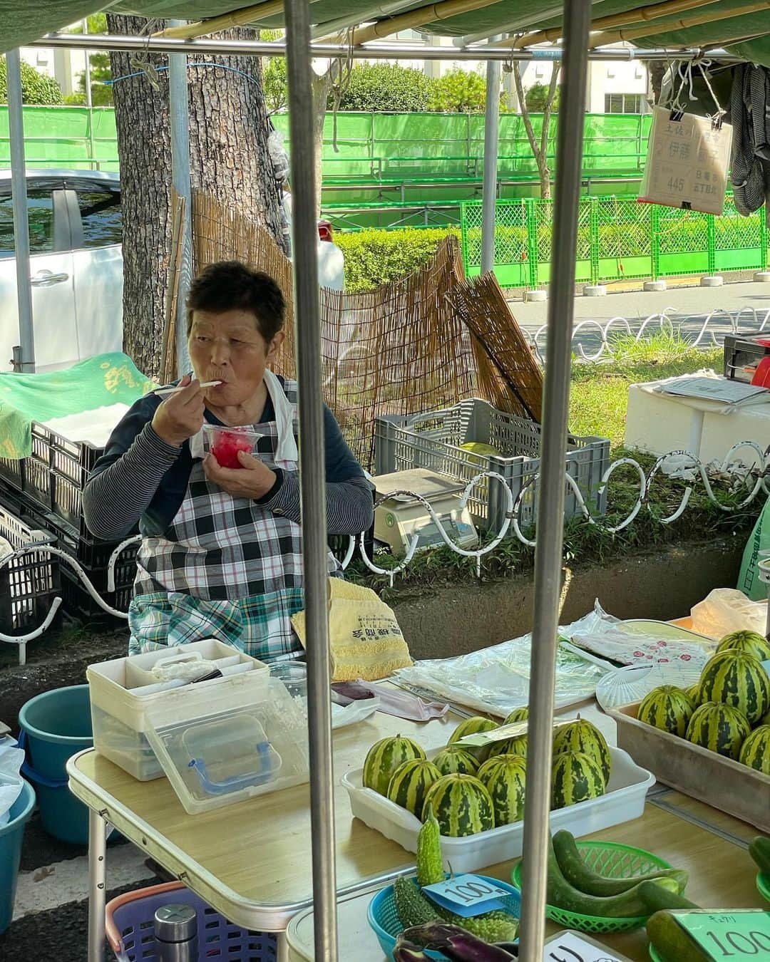 アオイヤマダのインスタグラム：「高知KOCHI」