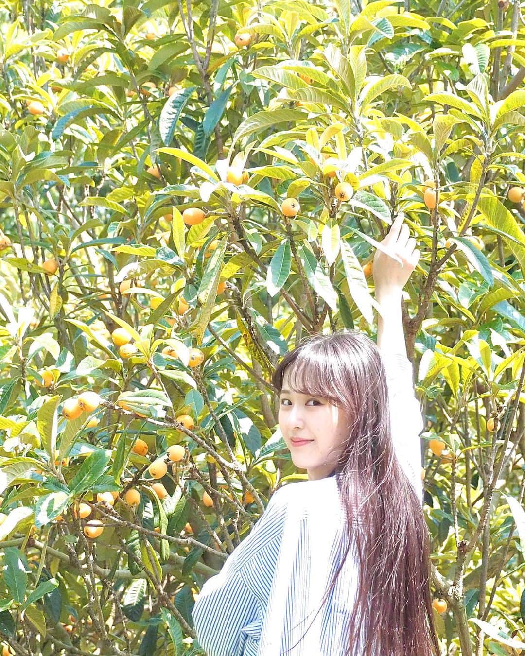 志乃のインスタグラム：「本日8月14日は 「志乃」として活動を始めた日。 皆さま、いつもありがとうございます！  まっすぐで、柔らかい人間になれるよう心がけて  これからもよろしくお願いいたします✴︎」