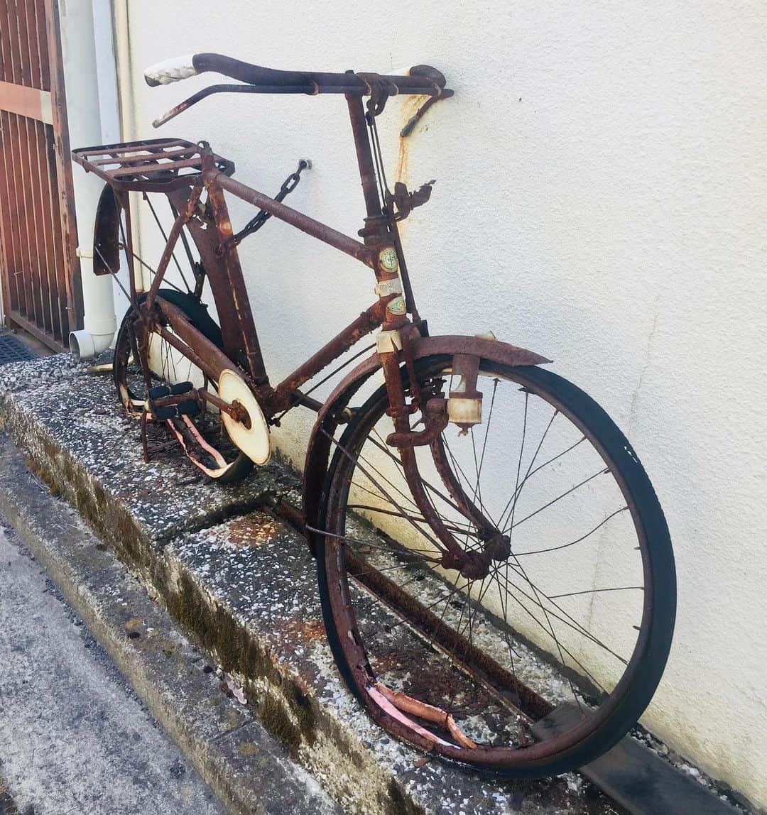 やけのはらのインスタグラム：「道端で見かけた、信じられないほどに朽ちた自転車。 どれだけ時が経てば、これほどまでに朽ちるのか。」