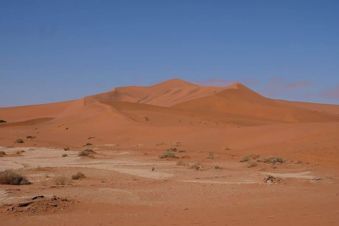 エレナ・アレジ・後藤さんのインスタグラム写真 - (エレナ・アレジ・後藤Instagram)「Postcards from Mars」8月14日 19時01分 - alesihelena