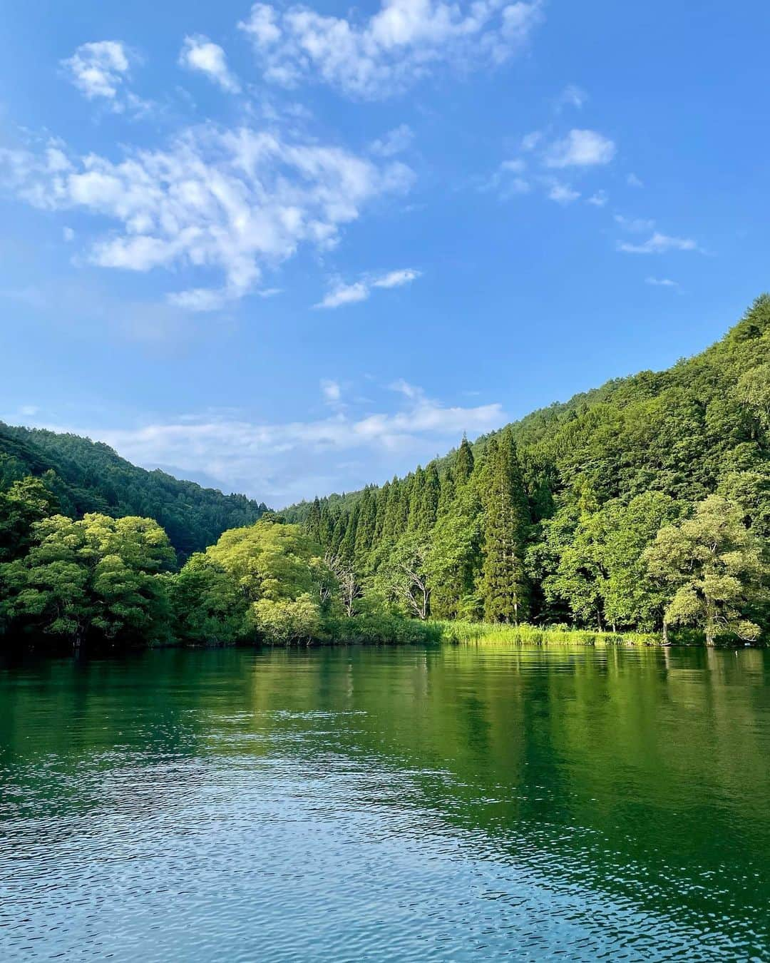 岩波彩華さんのインスタグラム写真 - (岩波彩華Instagram)「野尻湖で初SUP🛶 楽しすぎてびっくりするくらい焼けた🕶️ 自然が最高に綺麗でサウナもあって完璧な場所！  いつもありがとうございます💛  #野尻湖 #ノジフォルニア」8月14日 19時18分 - syk.i